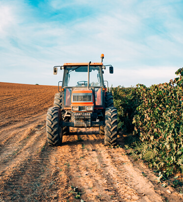Environnement et Développement
